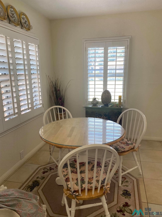 609 N Ash St, Carlsbad, NM 88220 - photo 5