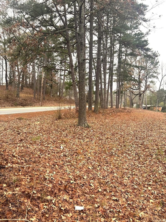 2211 S Chatfield Rd, Tull, AR 72015 - photo 3