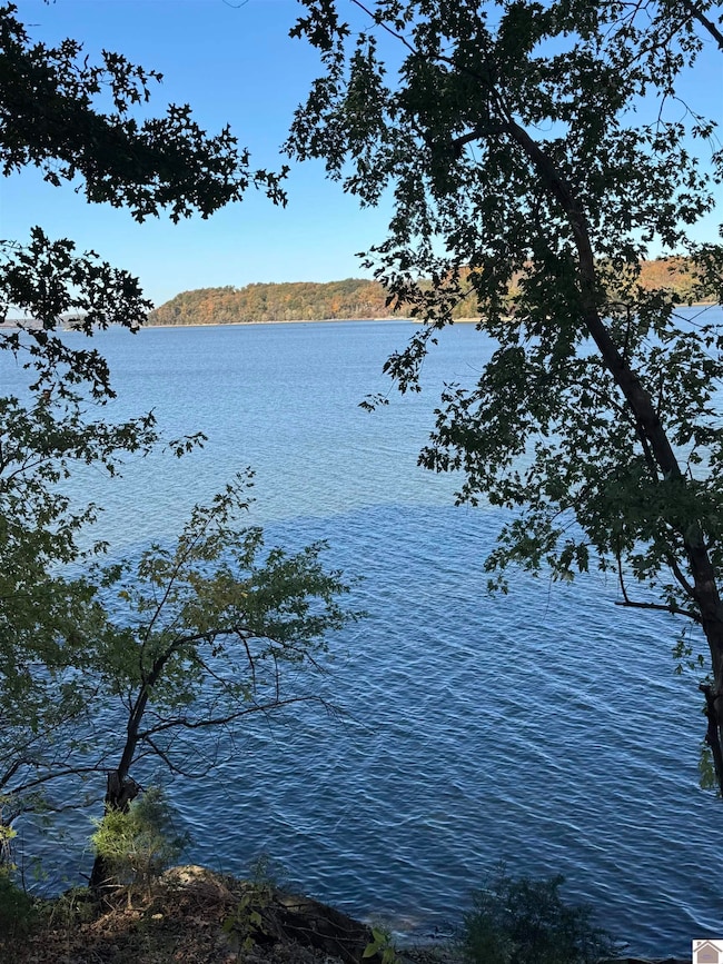 Lot 57 Rimcrest Cir unit Also known as Cheekw, Cadiz, KY 42211 - photo 7