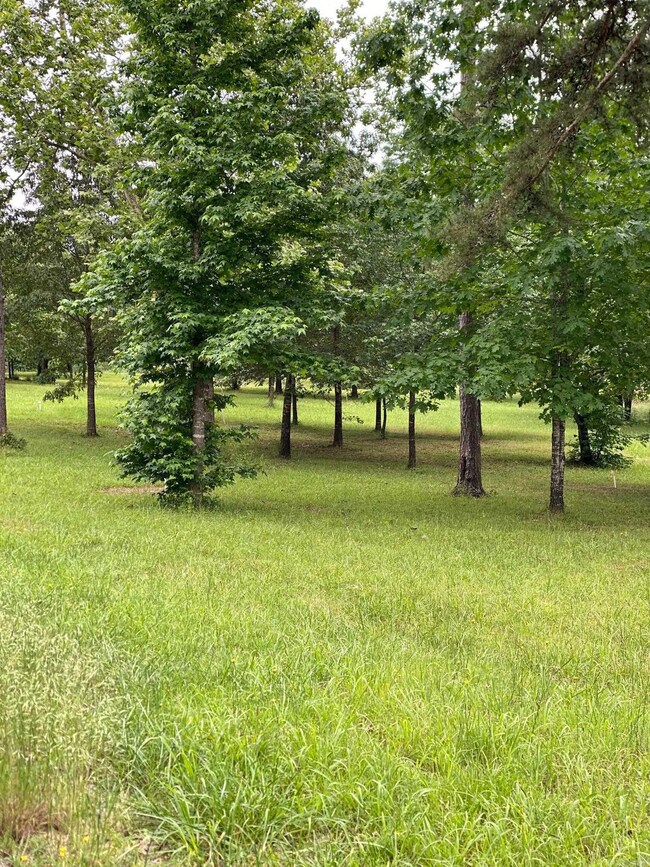 0 Ridge Cir unit 25048299, Quitman, AR 72131 - photo 6