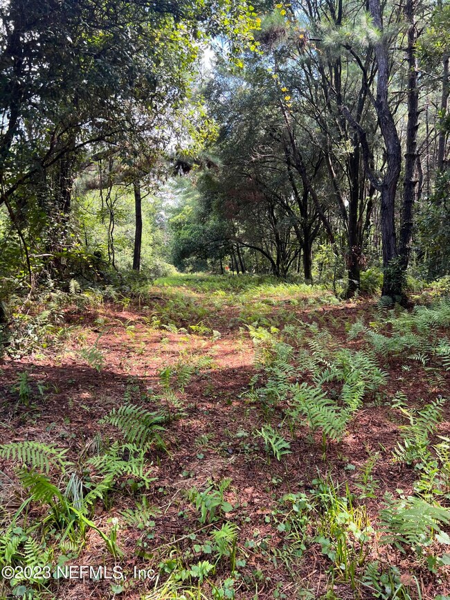 E2EC51DD-DFE1-4B61-BBD6-7EADA9429BE1