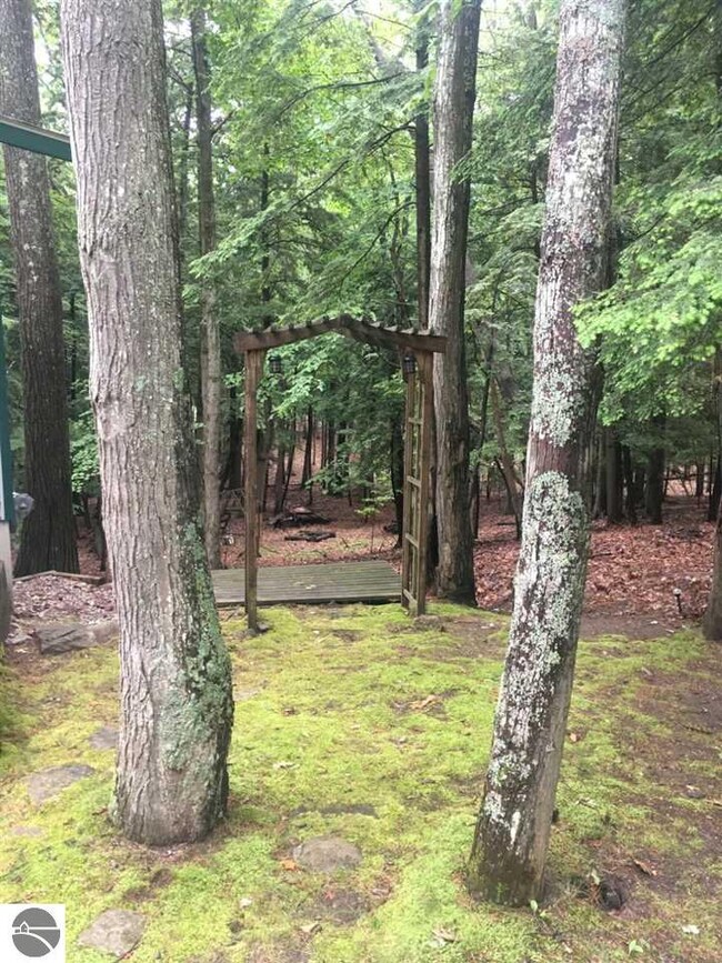 The lot is heavily wooded, with a  mix of hardwoods and pines.  You can see the canopy that leads to the back yard in the background.
