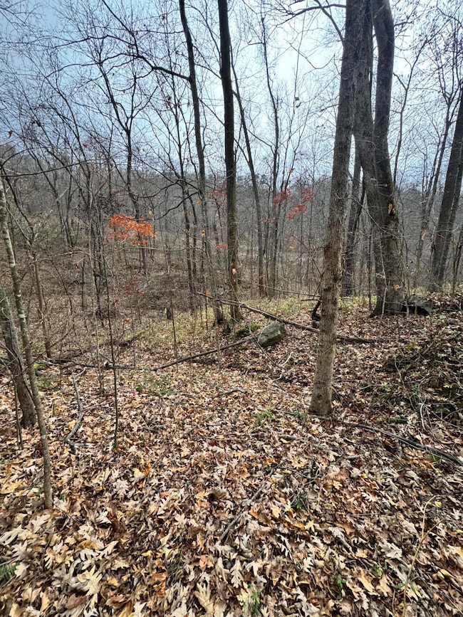 7099 Furnace Rd, Stanton, KY 40380 - photo 6