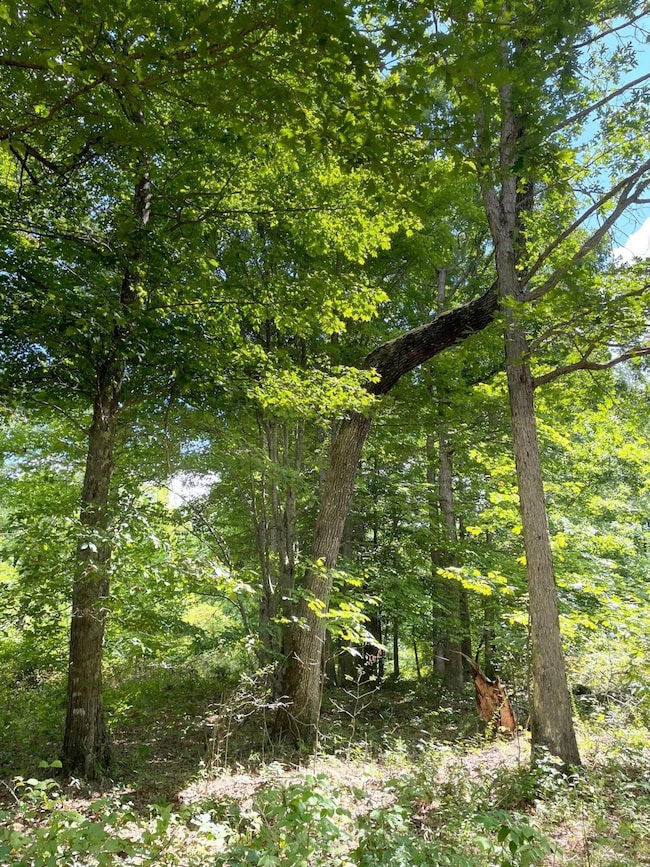 0 Roaring Creek Rd unit 1523586, Dunlap, TN 37327 - photo 4