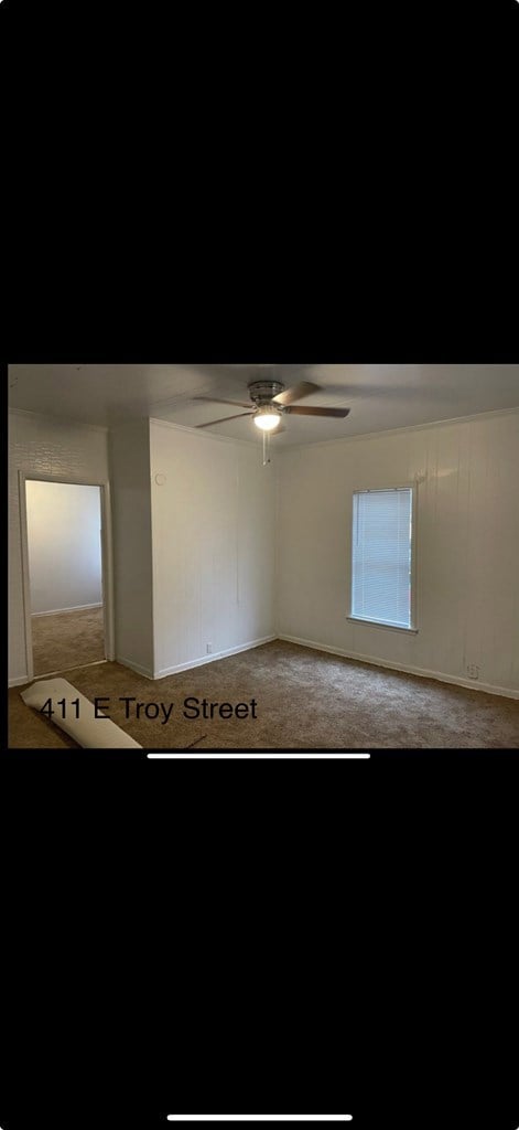 0 E Troy St, Brundidge, AL 36010 - photo 3
