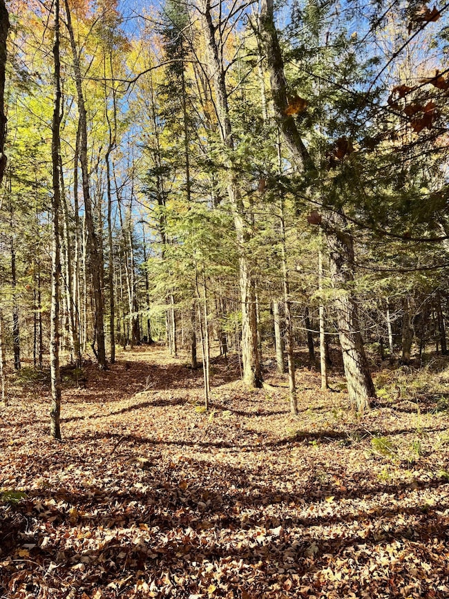 0000 Amber Lake Rd W unit Lot 3, Lac Du Flambeau, WI 54538 - photo 6