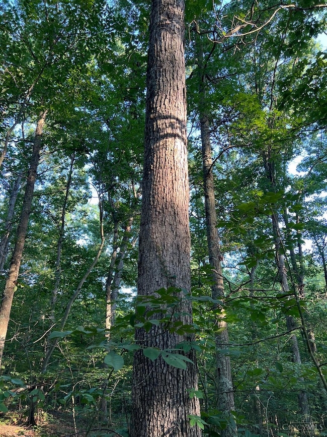 0 Tabernacle Rd, Massieville, OH 45601 - photo 2