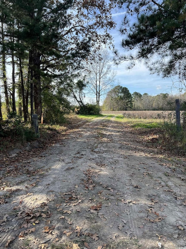 0 Easler Hwy unit 25756516, Greeleyville, SC 29056 - photo 4