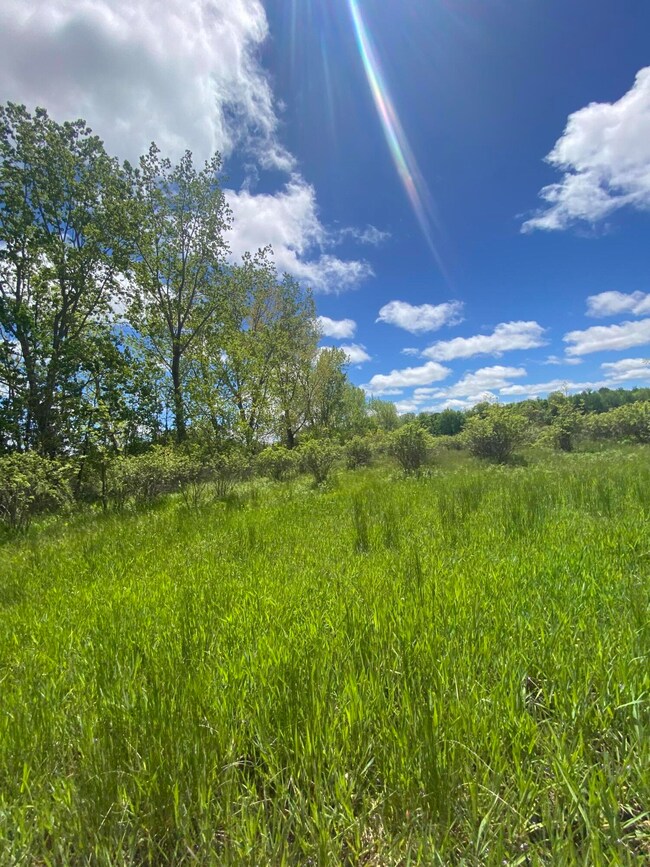 0 62nd St, Grand Junction, MI 49056 - photo 6