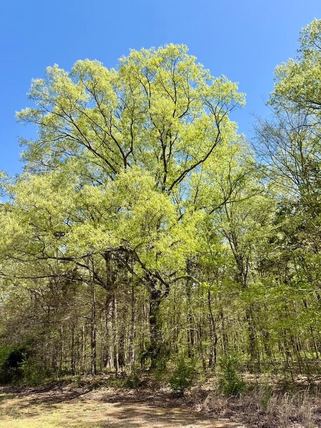 25 Bell Grove Rd, Oakland, TN 38028 - photo 7