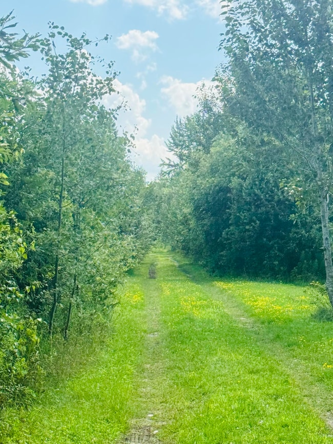 14-6 Hemlock Dr, Hudson, ME 04449 - photo 7