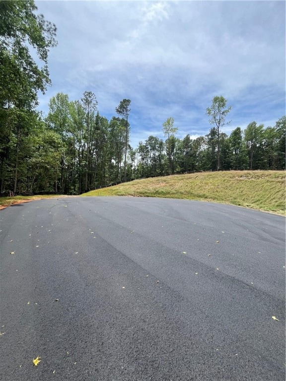 0 Cheyenne Ln unit 171464, Dadeville, AL 36853 - photo 2