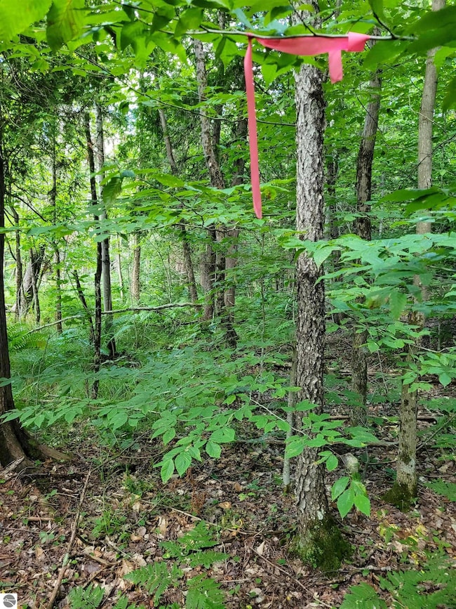 00 N Lakola Rd, Leroy, MI 49655 - photo 3