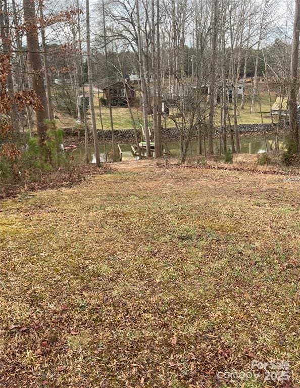 4995 Wildlife Ln unit 1, Lake Norman of Catawba, NC 28673 - photo 6