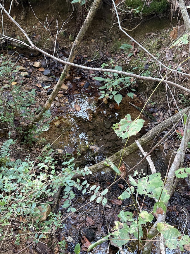 0 Waynesboro Hwy unit RTC2991221, Waynesboro, TN 38485 - photo 5