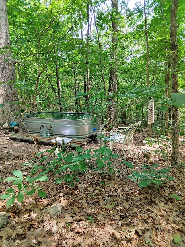 8329 9 Mile Ridge Rd, Hardy, AR 72542 - photo 7