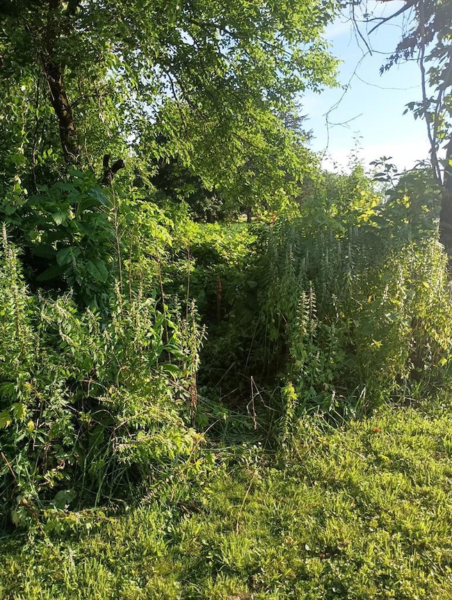 441 Myers St, Bucyrus, OH 44820 - photo 6