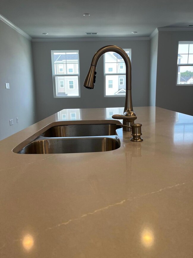 1738 Night Sky Trail, Apex, NC 27502 - photo 5