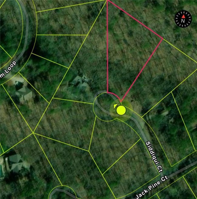 110 Siddiqui Ct, Waleska, GA 30183 - photo 7