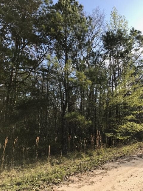 XXX River Plantation Rd, Crawfordville, FL 32327 - photo 6