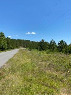 0 Stanley Rd Lot 10 unit Lot 10 45-543, Leesville, LA 71446 - photo 3