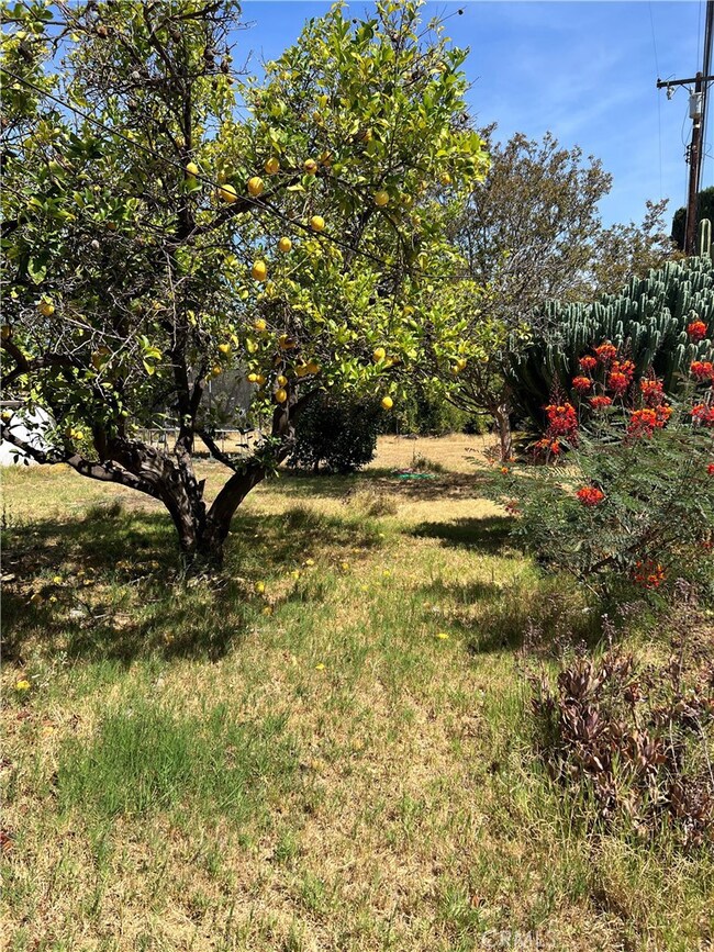 15669 Fairgrove Yard