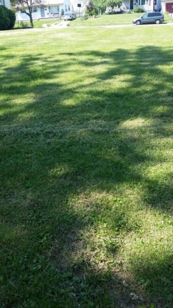 20170516_153751