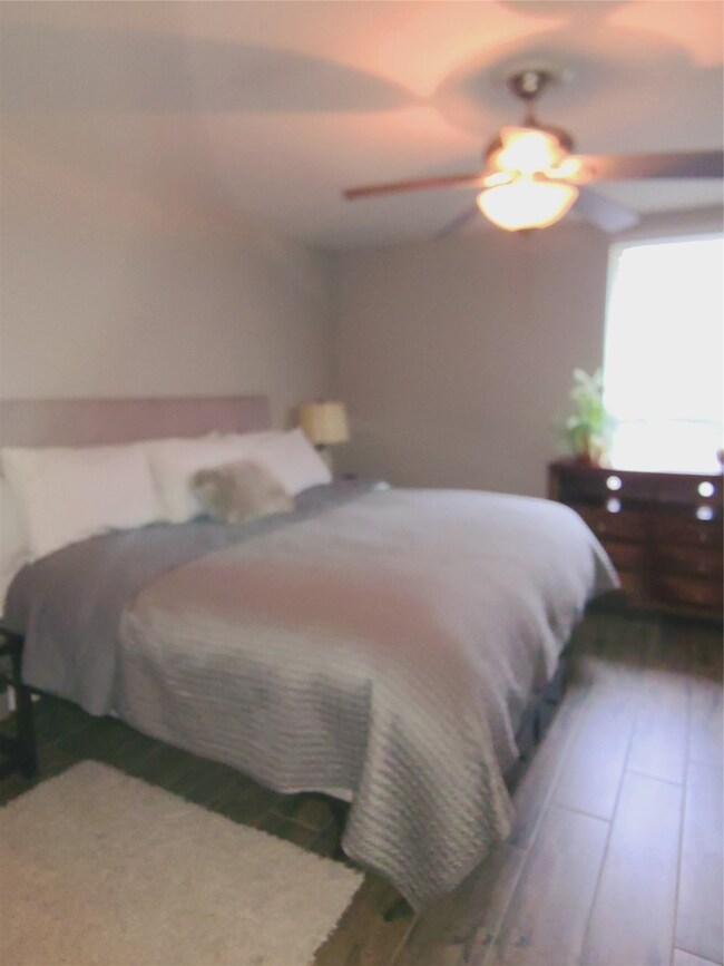 4655 Wild Indigo St unit 260, Houston, TX 77027 - photo 5