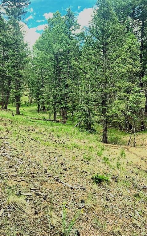 179 Kenosha Way, Florissant, CO 80816 - photo 3