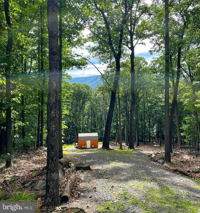 28 C Cove Creek Rd, Baker, WV 26801 - photo 3