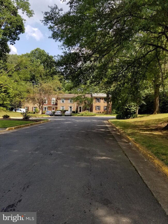 6412 Old Scotts Ct, Springfield, VA 22152 - photo 5