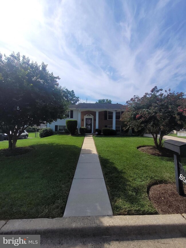 8503 Dunbar Ave, Hyattsville, MD 20785 - photo 3