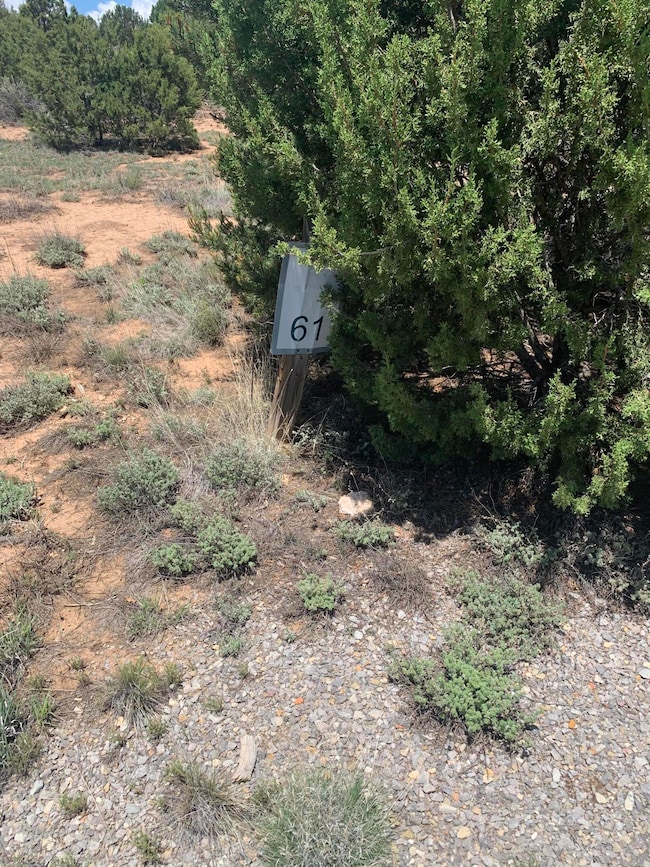 7 Nature Pointe Dr, Tijeras, NM 87059 - photo 3