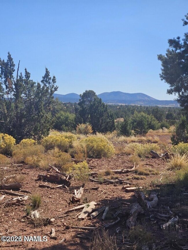 20240203180649403891000000-o