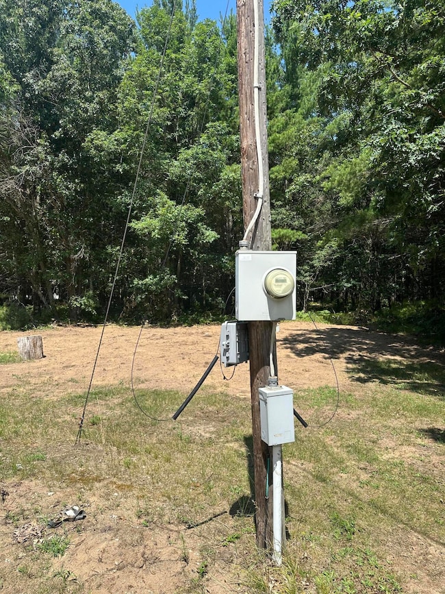 2018 W 44th St, Baldwin, MI 49304 - photo 4