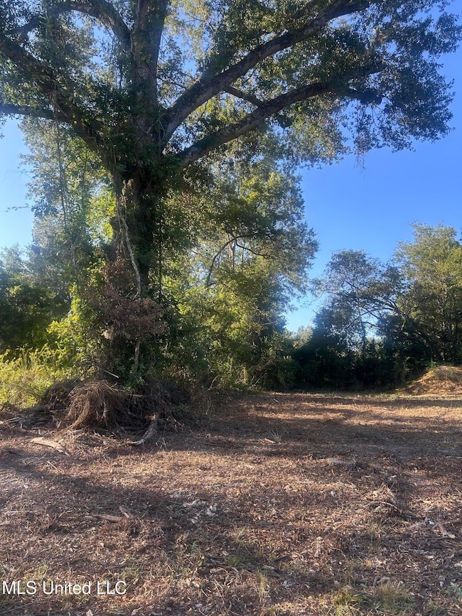 224 W Holly St, Magnolia, MS 39652 - photo 2