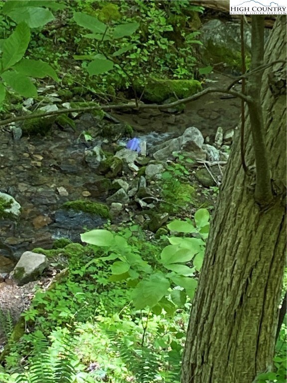 TBD Jake's Mountain Rd, Deep Gap, NC 28618 - photo 2