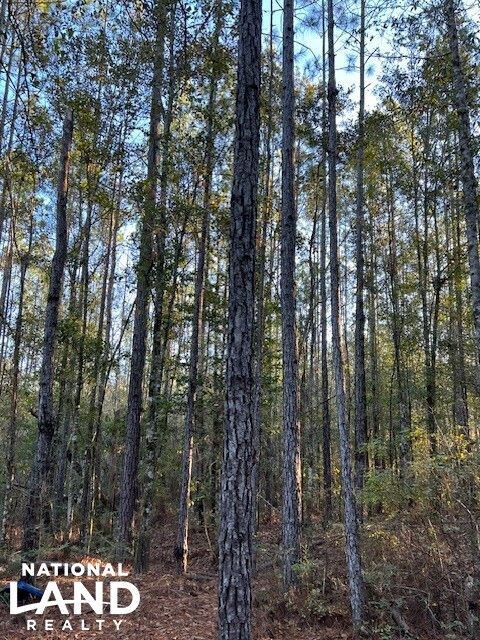 0 Sailor Rd, Creola, AL 36525 - photo 5