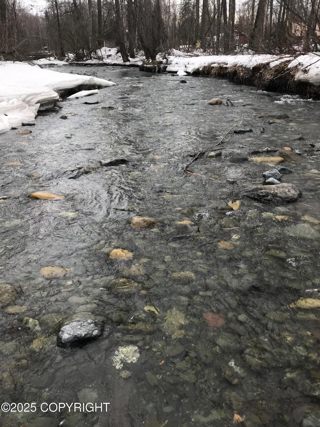 B50 Yarnot Ave, Anchorage, AK 99567 - photo 5