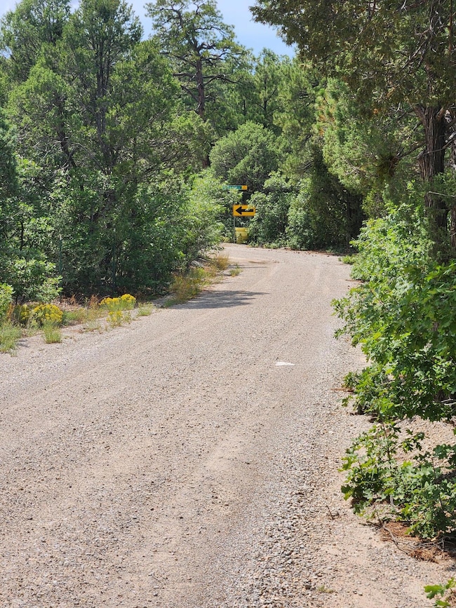 5 Spies Rd, Ponderosa Pine, NM 87059 - photo 3