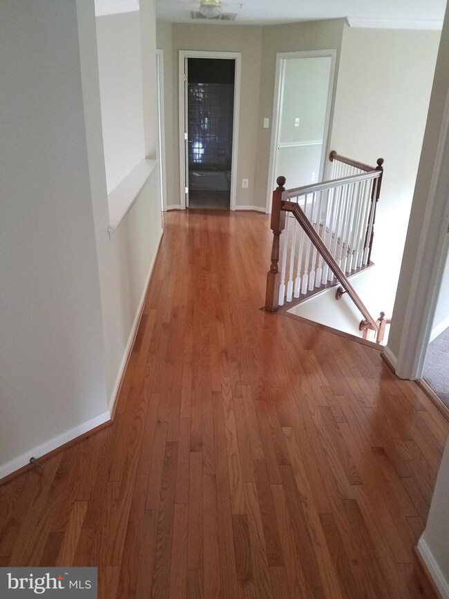 11103 Queens Wood Terrace, Bowie, MD 20721 - photo 7