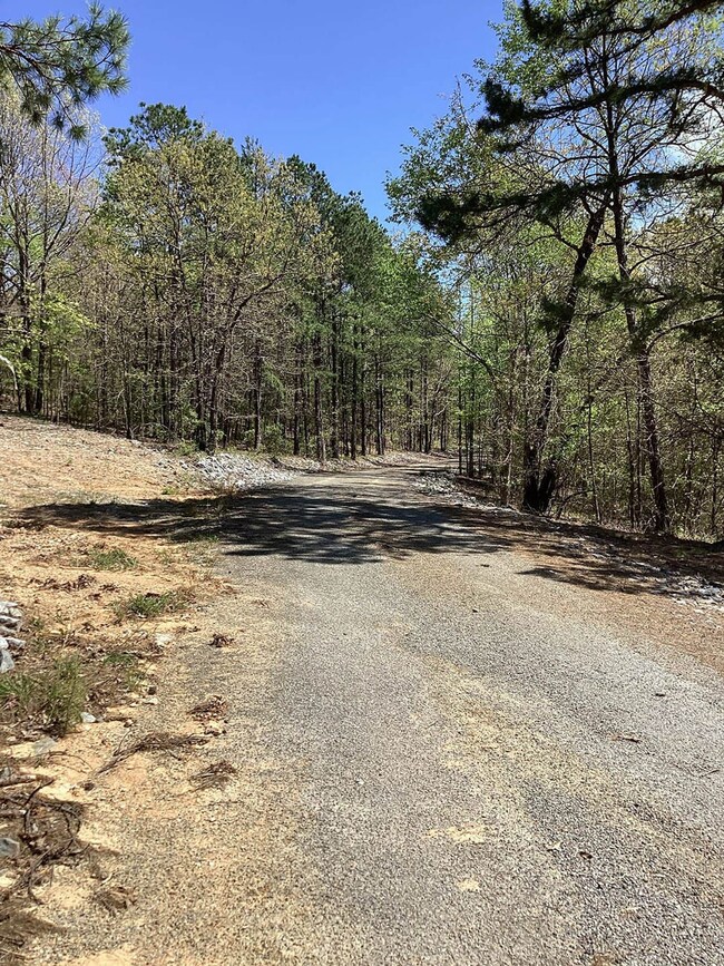 0 Chaparral Ln unit 24298349, Mena, AR 71953 - photo 3