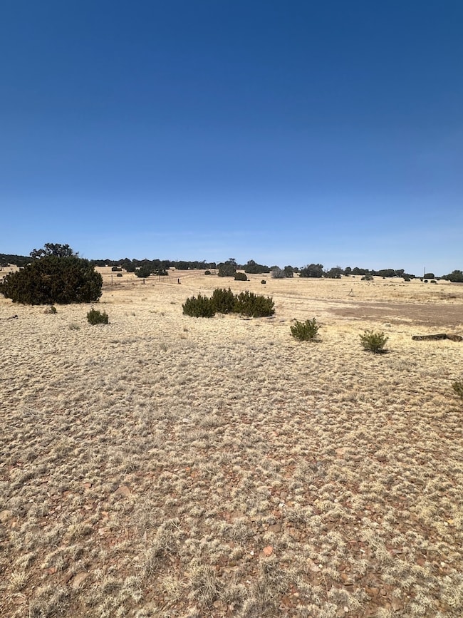 471 Cimarron Dr unit LOT 116 CIMARRON RAN, Quemado, NM 87829 - photo 5