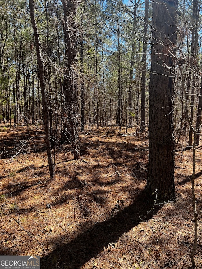 2000 Buckeye Rd, Tennille, GA 31089 - photo 2