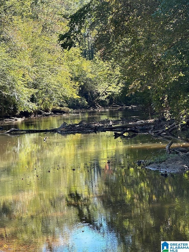 0 County Road 492 unit 1 21400533, Muscadine, AL 36269 - photo 2
