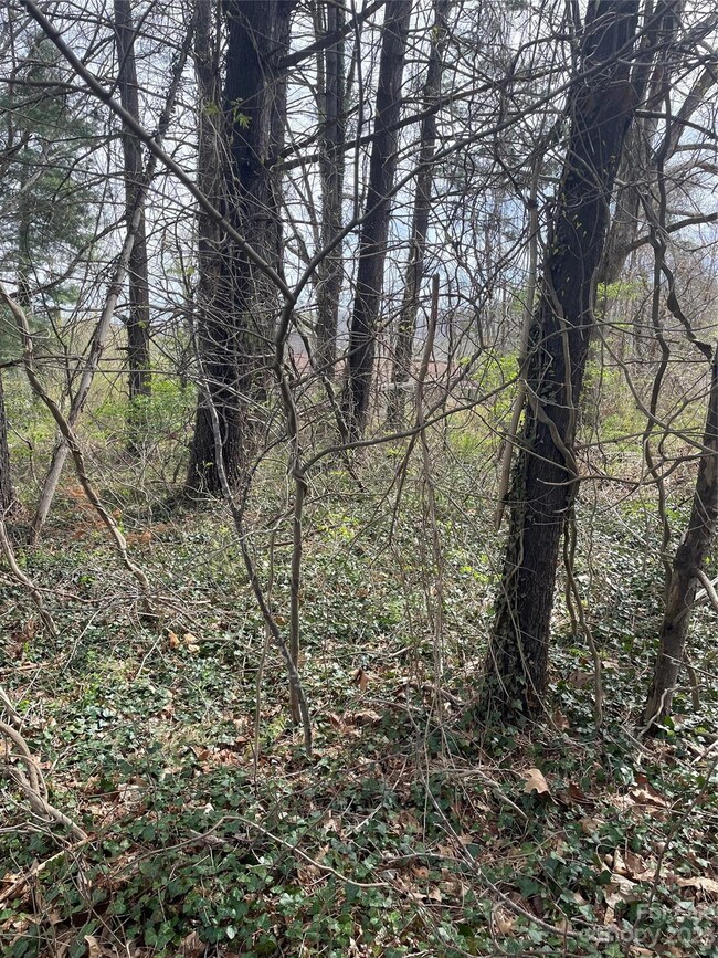 99999 W Chapel Rd, Asheville, NC 28803 - photo 2