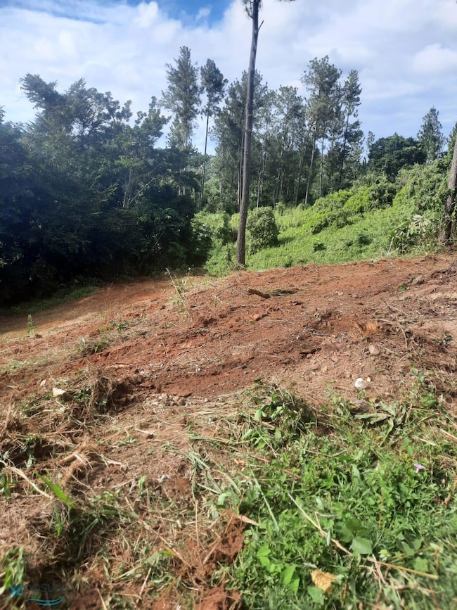 Km 1.65 Calle Reinita unit Parcela A, Moca, PR 00676 - photo 2