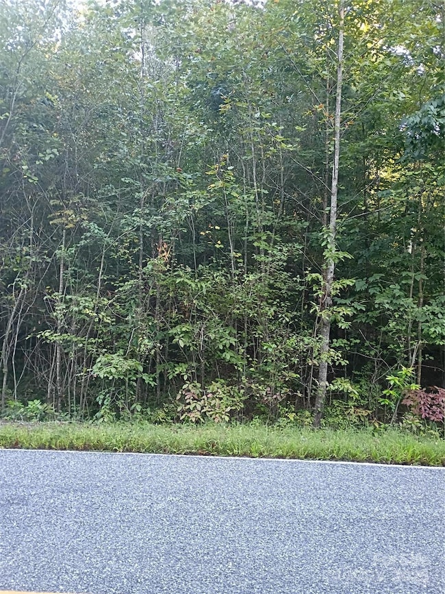 00 Toney Rd, Bostic, NC 28018 - photo 4