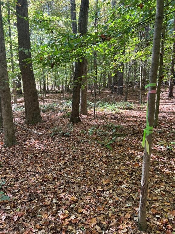 0000 J C Teague Rd, Staley, NC 27355 - photo 4