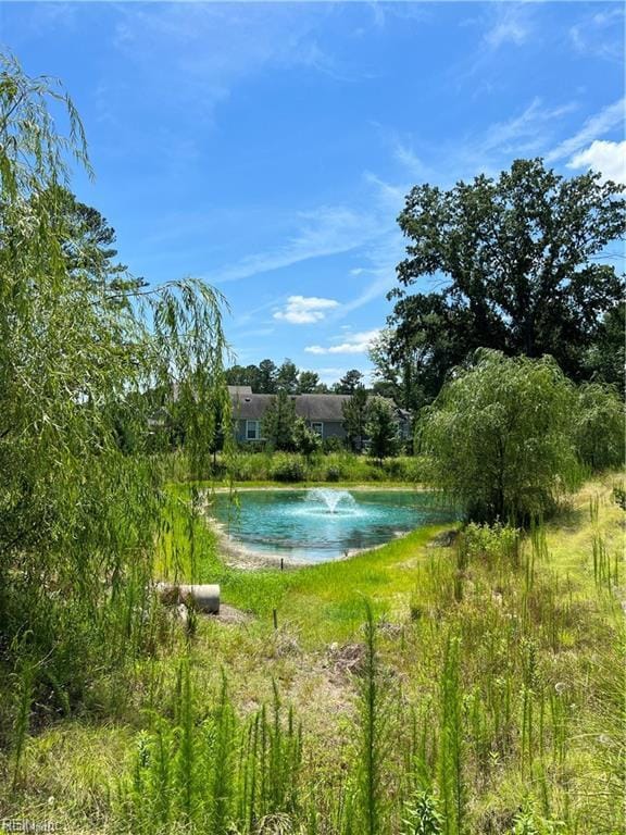 2802 Rowling Way, Chesapeake, VA 23321 - photo 4